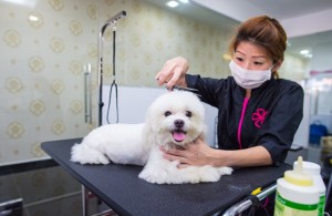 20151010_PS_lo_018